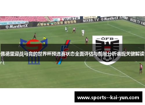 佩德里迎战马竞的世界杯预选赛状态全面评估与前景分析表现关键解读